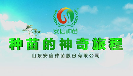 青岛企业产品宣传片制作_青岛企业产品宣传片制作公司